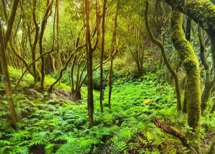 Salsalitre Chico 公寓 *