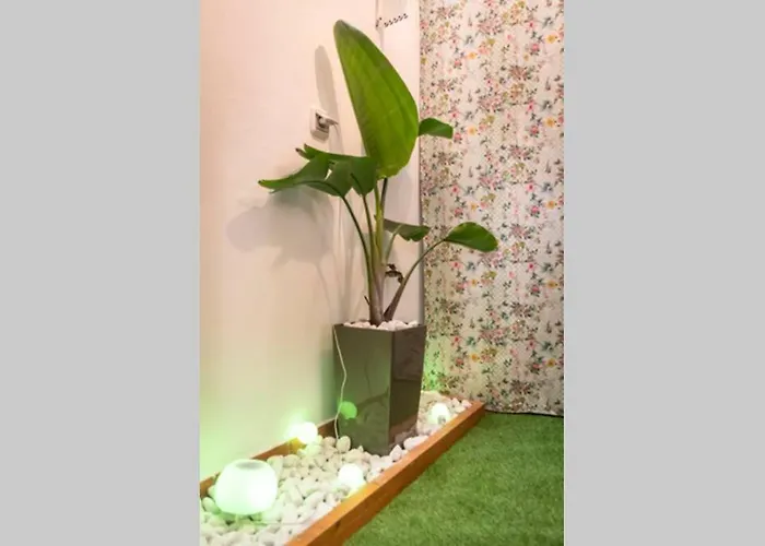 公寓 Salsalitre Chico