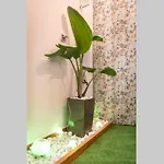 Apartmán Salsalitre Chico