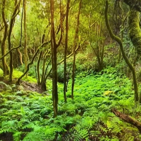 Salsalitre Chico Apartament *