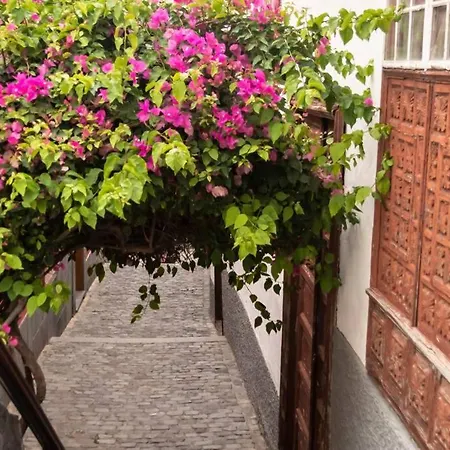Apartmán Salsalitre Chico *