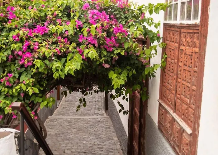 شقة Salsalitre Chico *