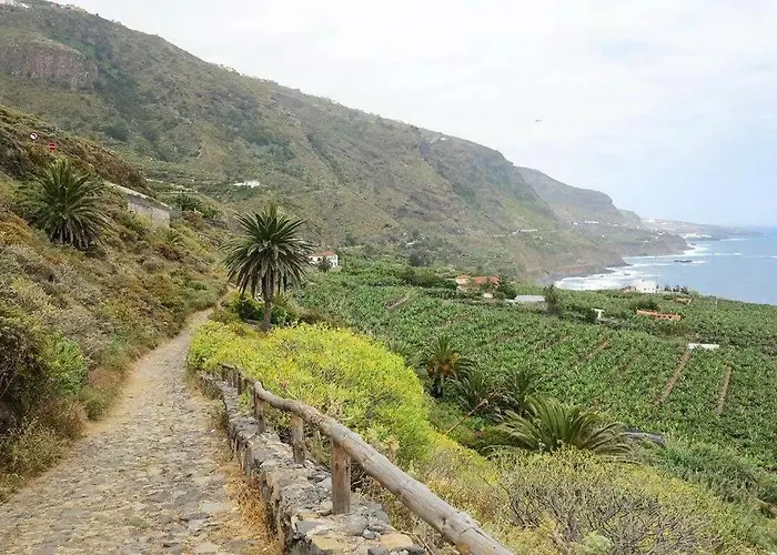 Salsalitre Chico Apartament *